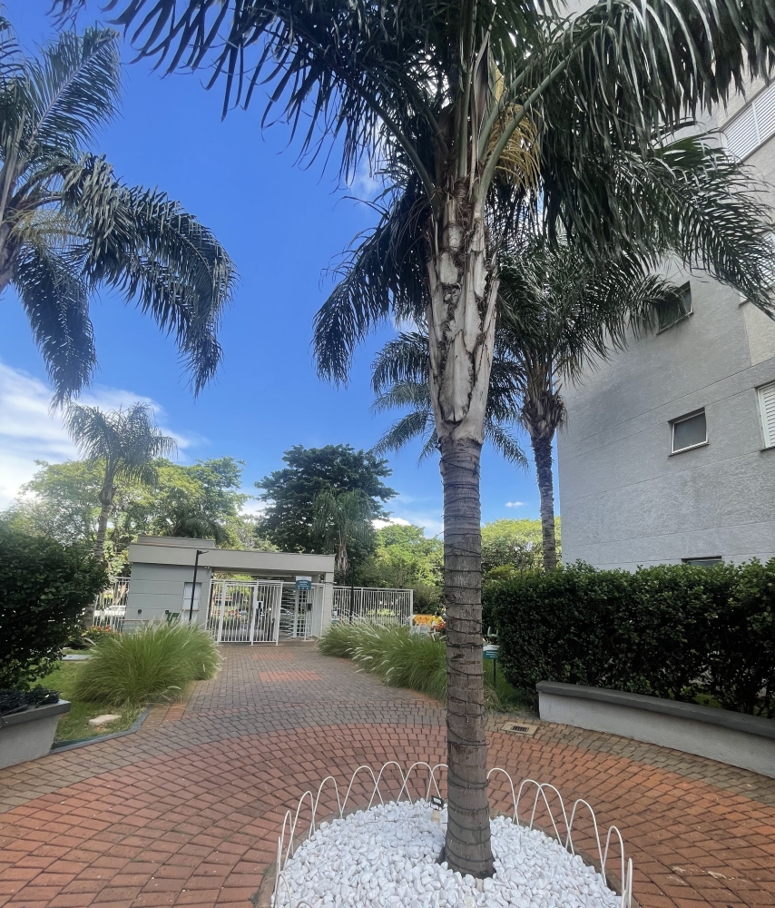 Apartamento, 2 quartos, 42 m² - Foto 39