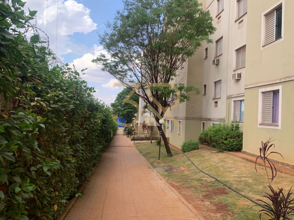 Apartamento, 2 quartos, 50 m² - Foto 23