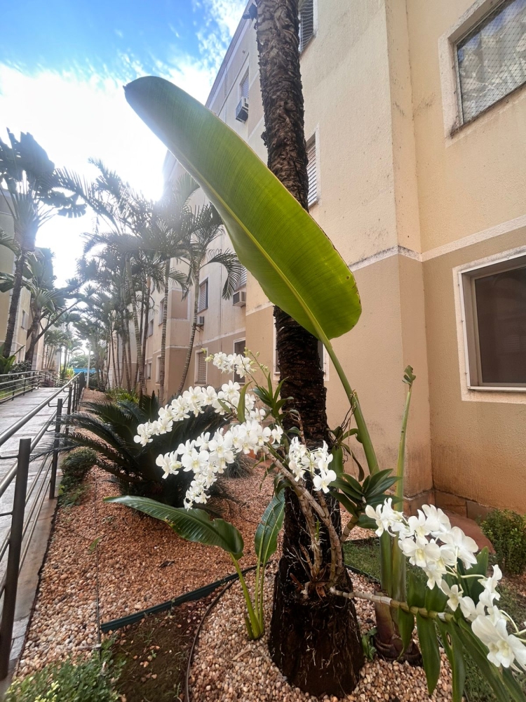 Apartamento, 2 quartos, 38 m² - Foto 5