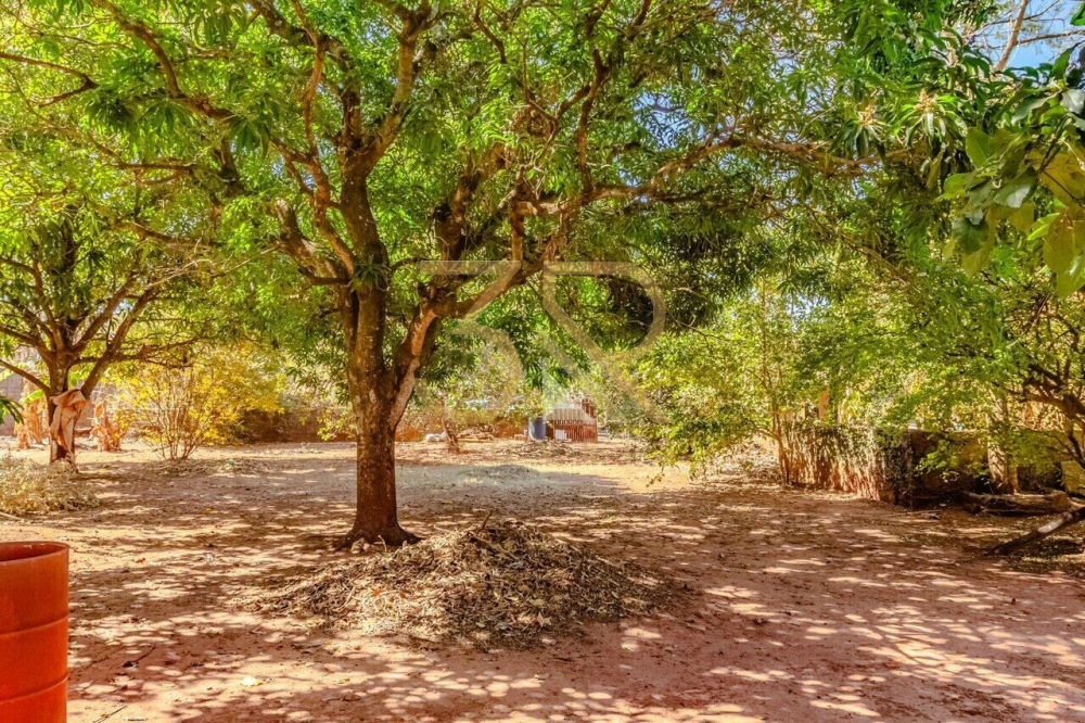 Chácara, 3 quartos, 60 hectares - Foto 36