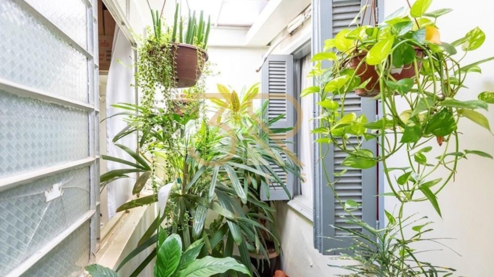 Casa, 4 quartos, 149 m² - Foto 4