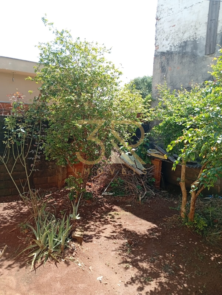 Casa, 3 quartos, 320 m² - Foto 31